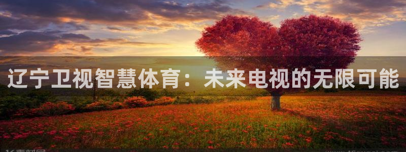 足球直播在线直播观看免费178
