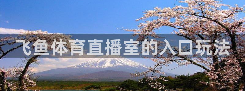 178直播体育平台新模式.快速玩.org：飞鱼体育直播室的入口玩法