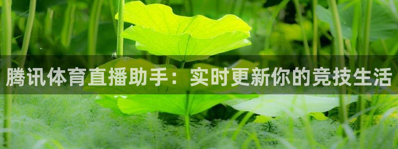 178体育免费直播视频