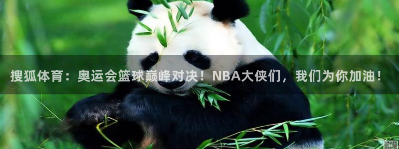 178视频体育直播：搜狐体育：奥运会篮球巅峰对决！NBA大侠们，我们为你加油！