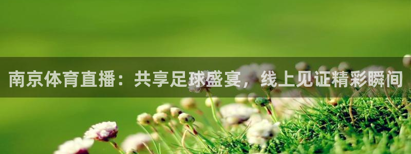 178足球免费直播网站下载安装：南京体育直播：共享足球盛宴，线上见证精彩瞬间