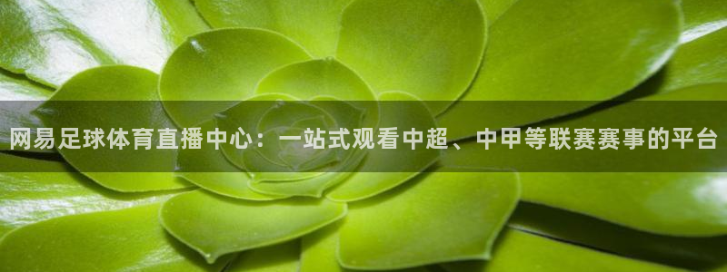 178篮球直播nba回放：网易足球体育直播中心：一站式观看中超、中甲等联赛赛事的平台