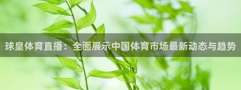 178足球直播在线直播观看：球皇体育直播：全面展示中国体育市场最新动态与趋势
