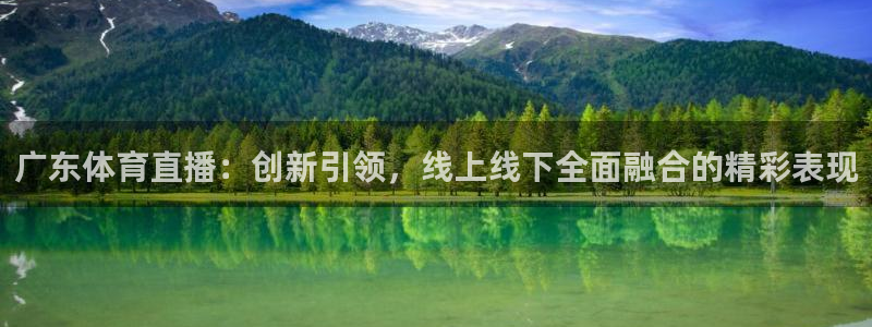 178足球体育直播：广东体育直播：创新引领，线上线下全面融合的精彩表现